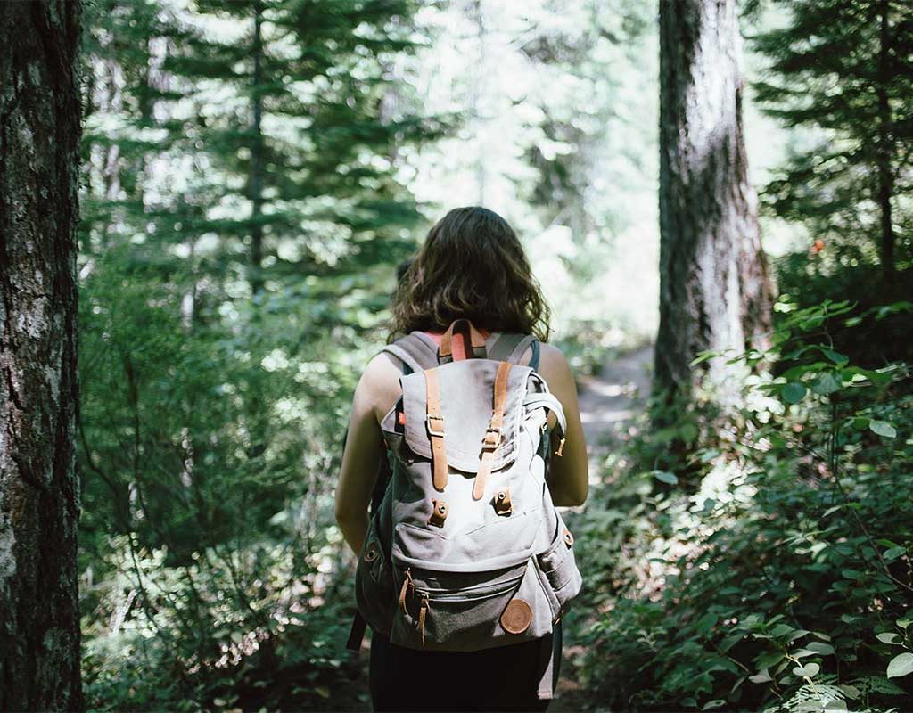 Trekking And Hiking